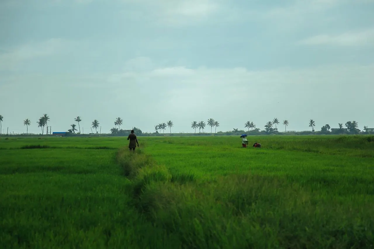 ****  Palmgrove Lake Resort Alappuzha Indien