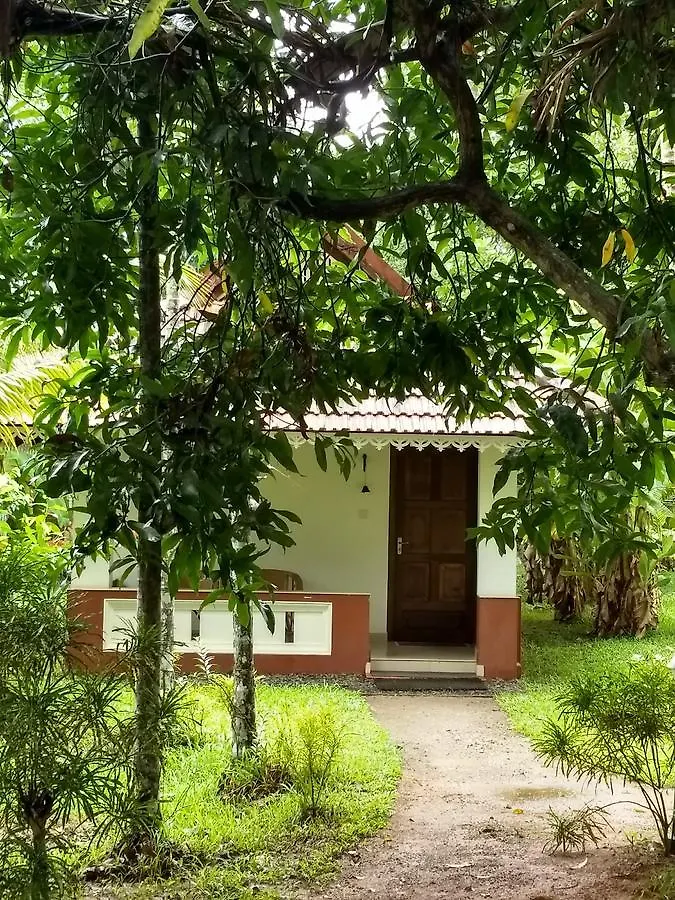 Palmgrove Lake Resort Alappuzha