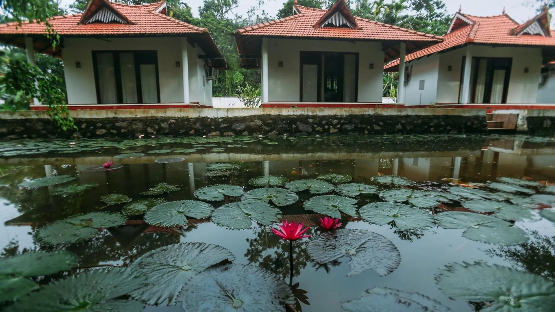 ****  Palmgrove Lake Resort Alappuzha Indie