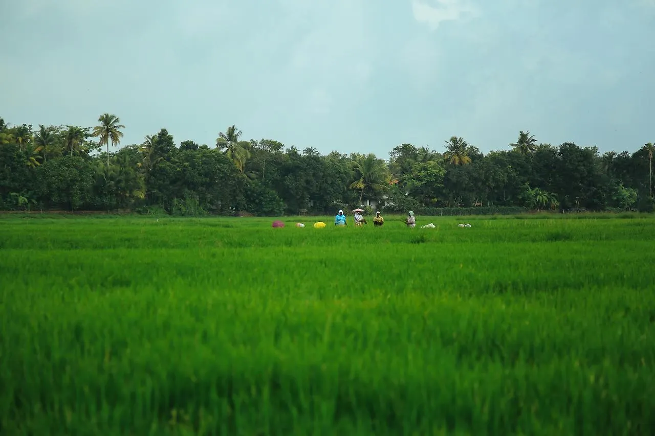 Palmgrove Lake Resort Alappuzha